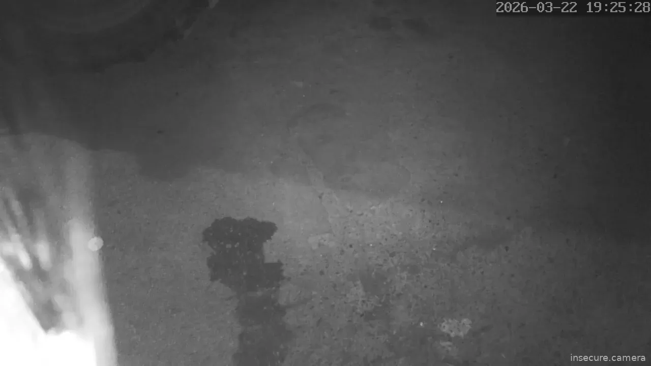 Capture from Mar 22, 2026 at 05:25 PM