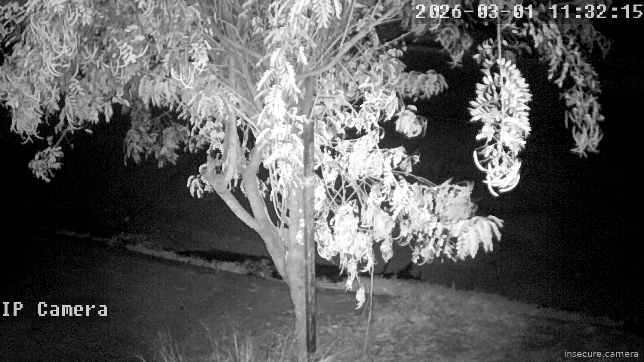 Capture from Mar 01, 2026 at 03:32 AM