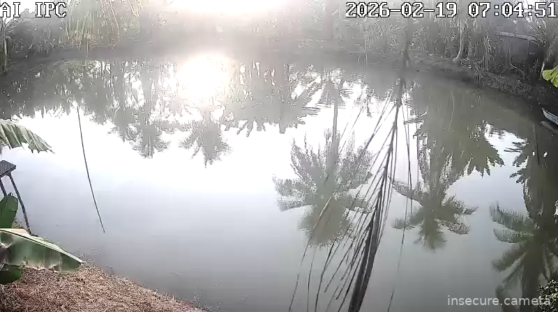 Capture from Feb 19, 2026 at 12:05 AM