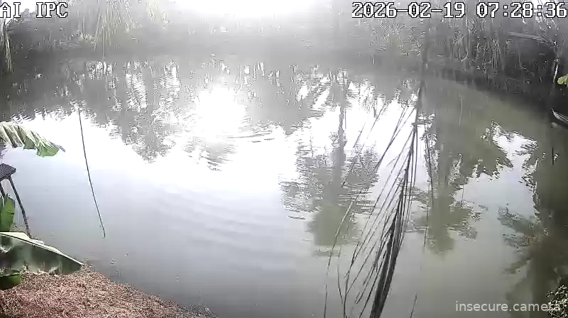 Capture from Feb 19, 2026 at 12:28 AM