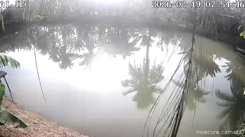 Capture from Feb 19, 2026 at 12:55 AM