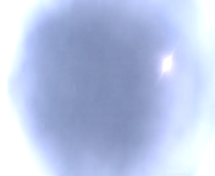 Capture from Mar 03, 2026 at 04:21 PM