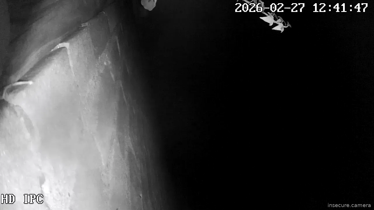 Capture from Feb 27, 2026 at 04:42 AM