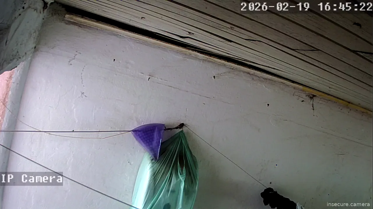 Capture from Feb 19, 2026 at 07:46 PM