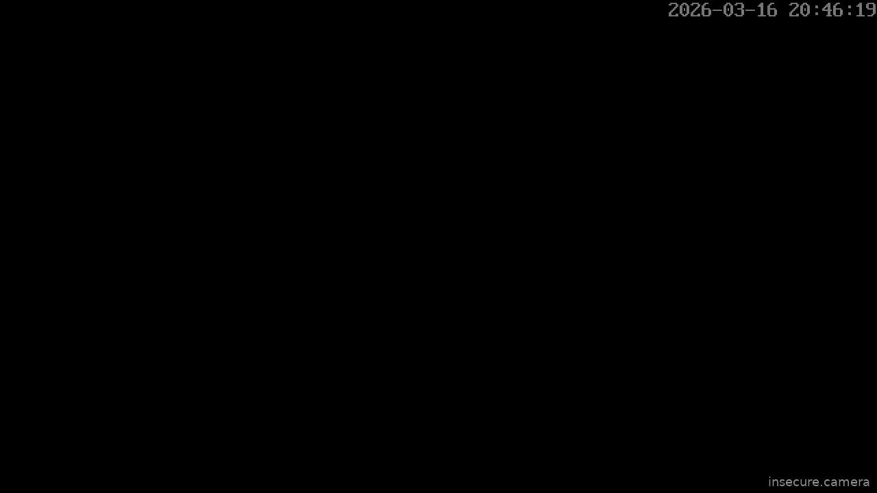 Capture from Mar 17, 2026 at 02:46 AM