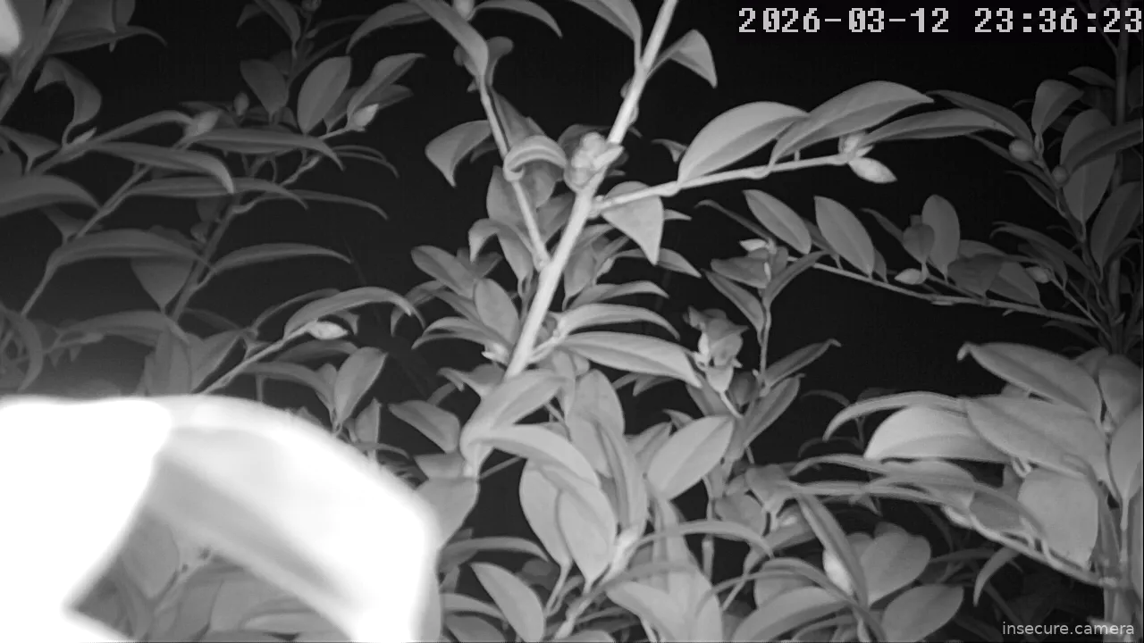 Camera in South Africa