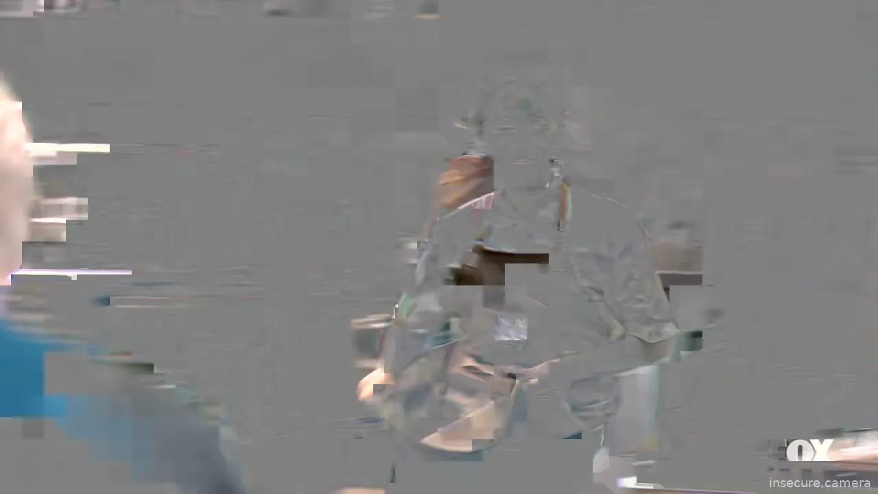 Camera in United States