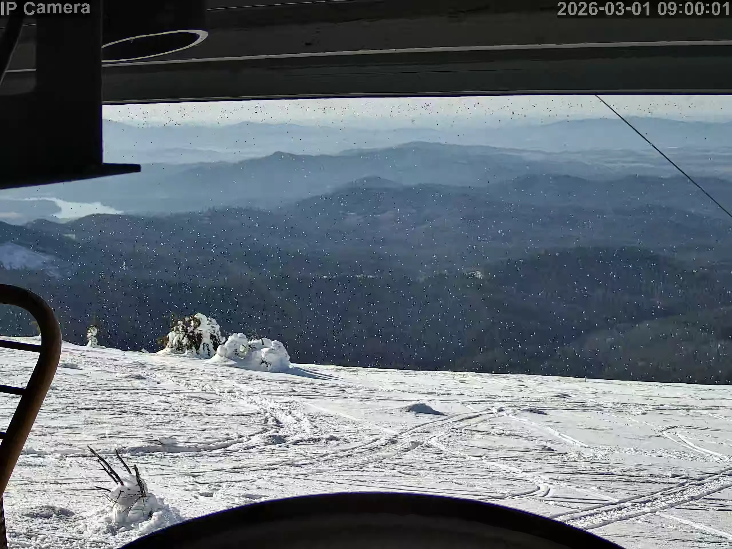 Capture from Mar 01, 2026 at 05:00 PM