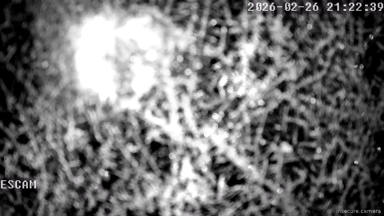 Capture from Feb 26, 2026 at 07:22 PM