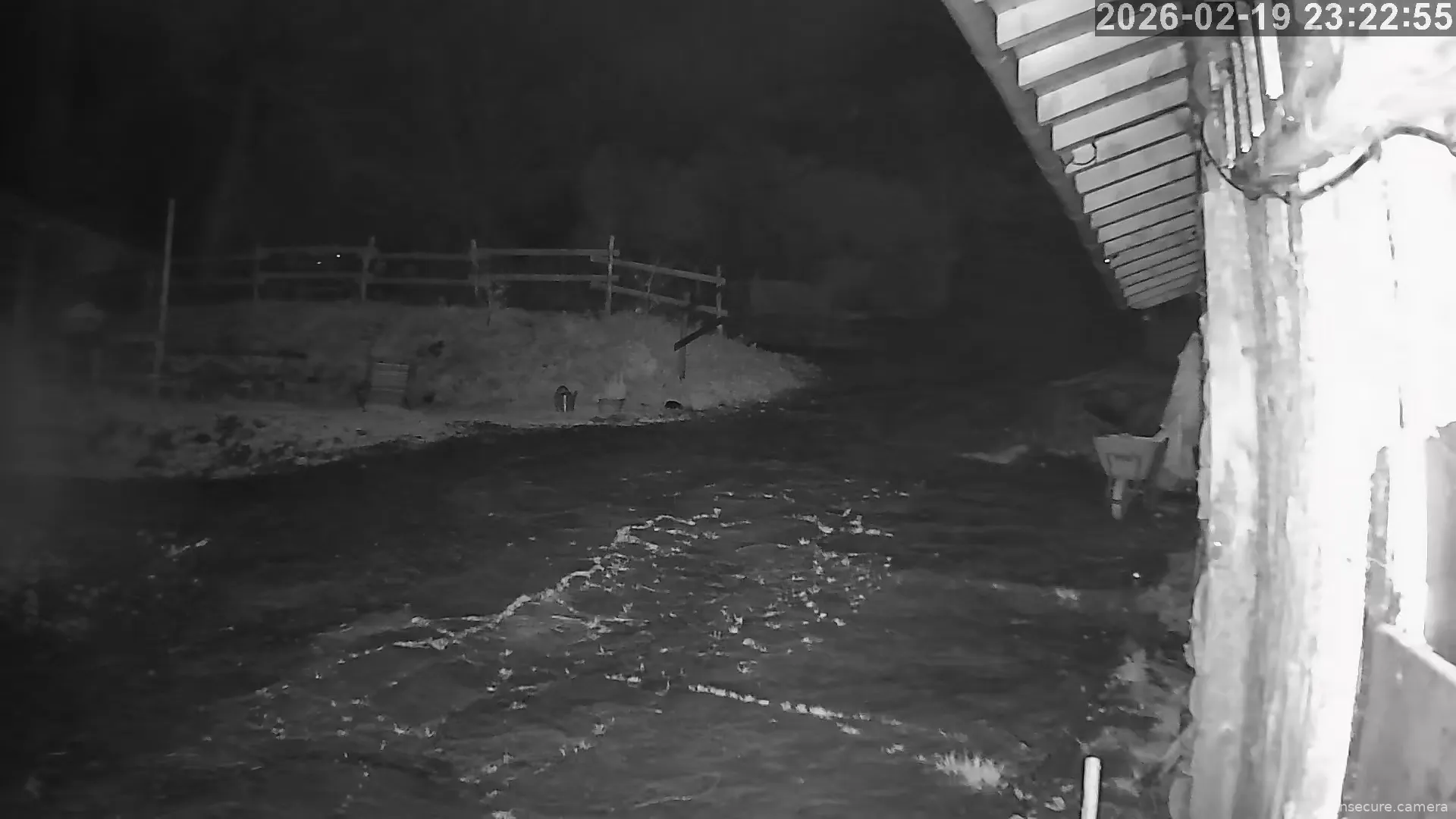 Capture from Feb 19, 2026 at 09:23 PM