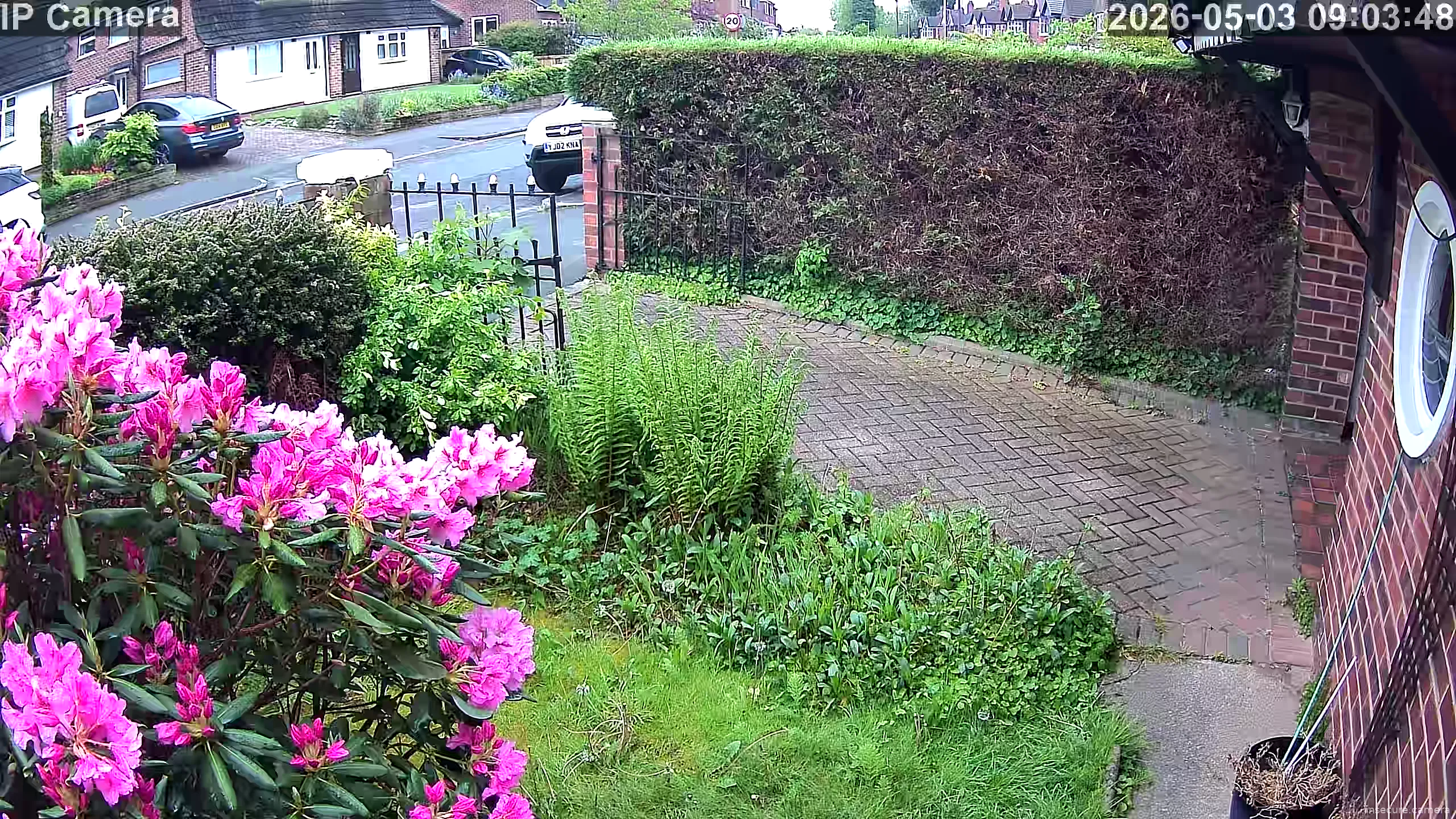 Capture from May 03, 2026 at 08:04 AM