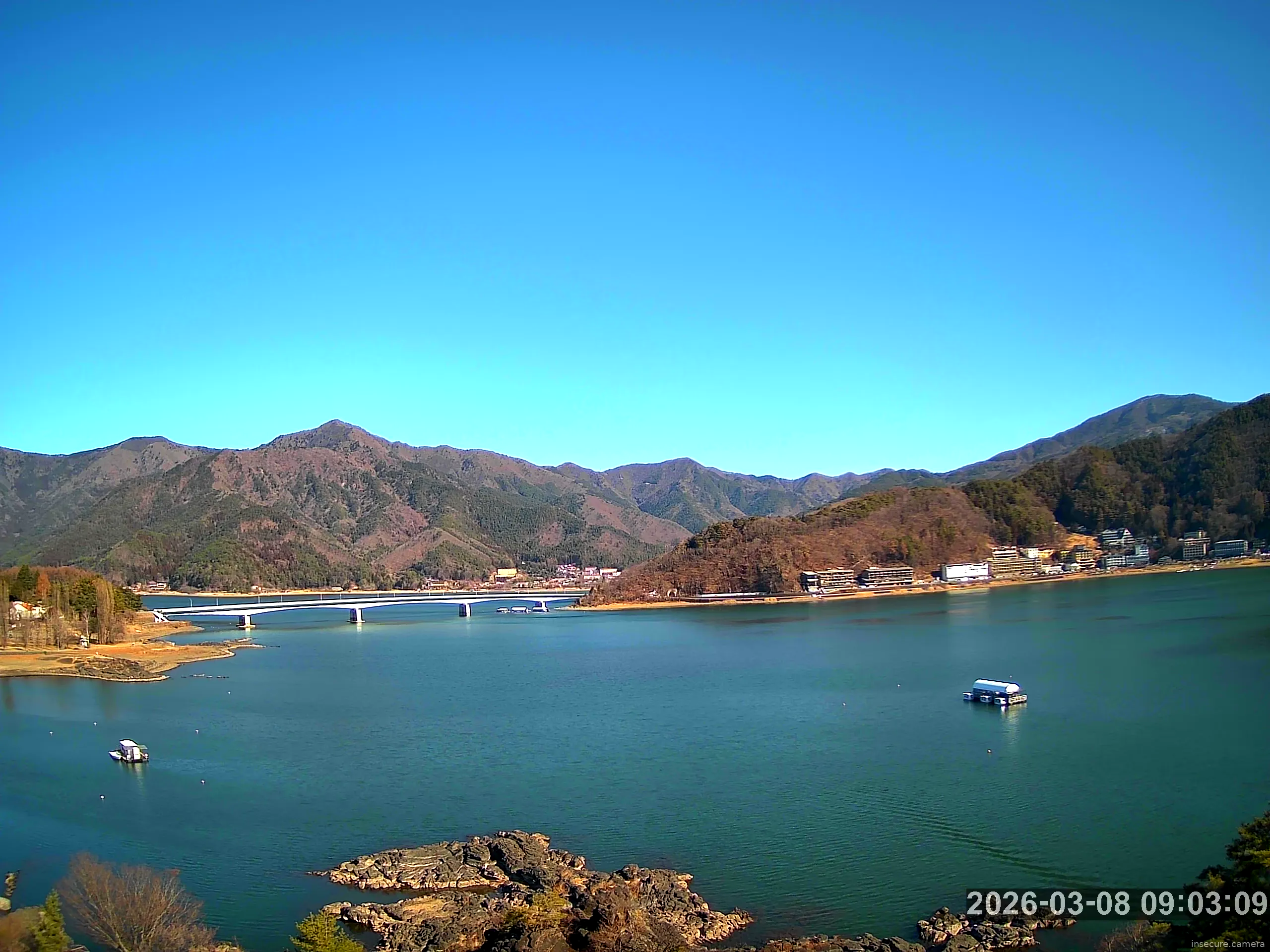 Capture from Mar 08, 2026 at 12:03 AM