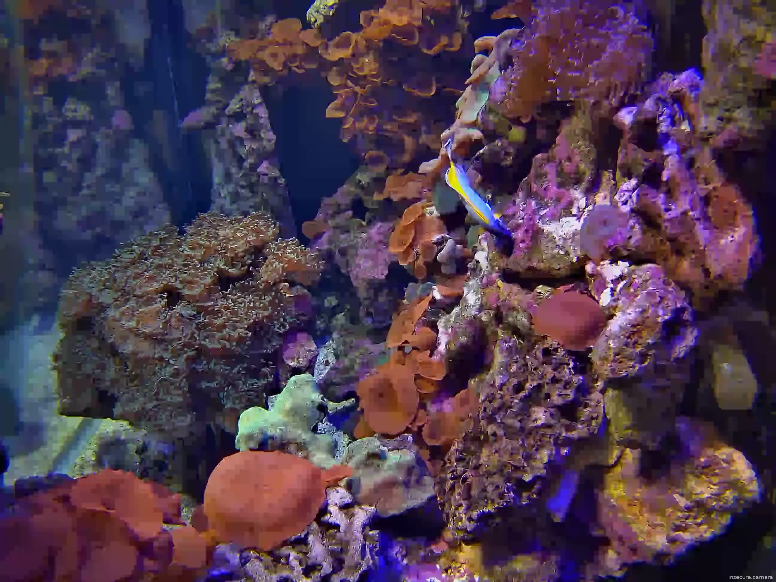 Capture from Feb 19, 2026 at 07:26 PM