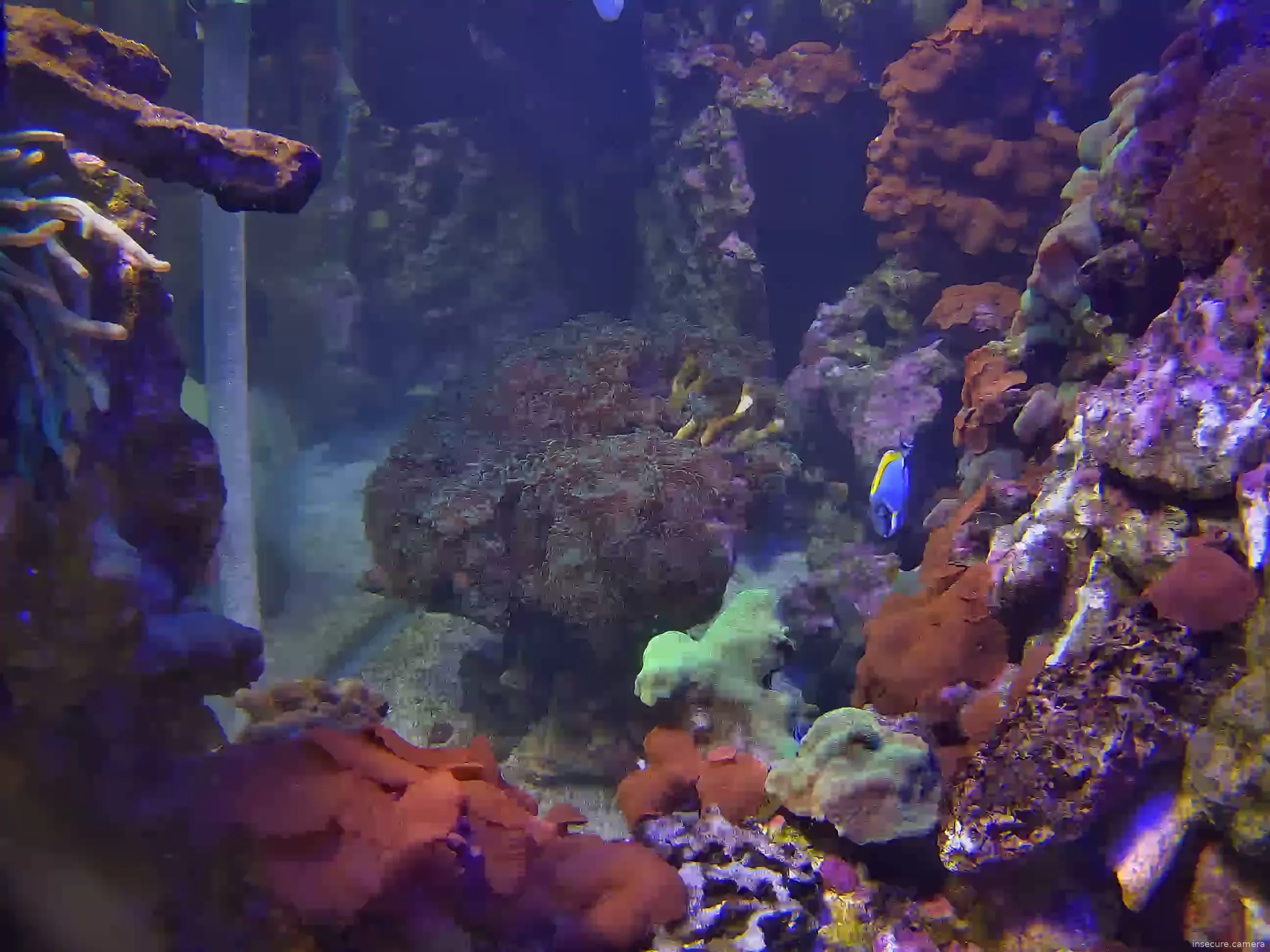 Camera in United States