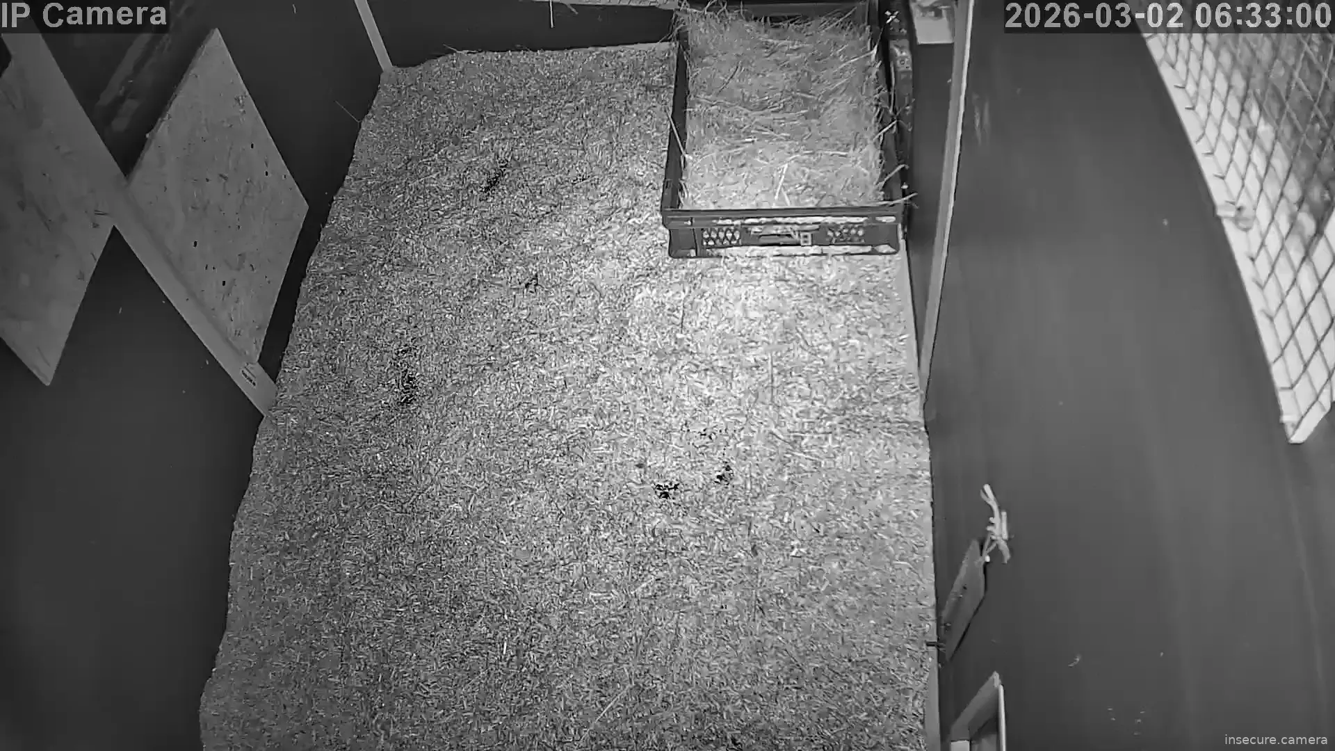 Capture from Mar 02, 2026 at 05:33 AM