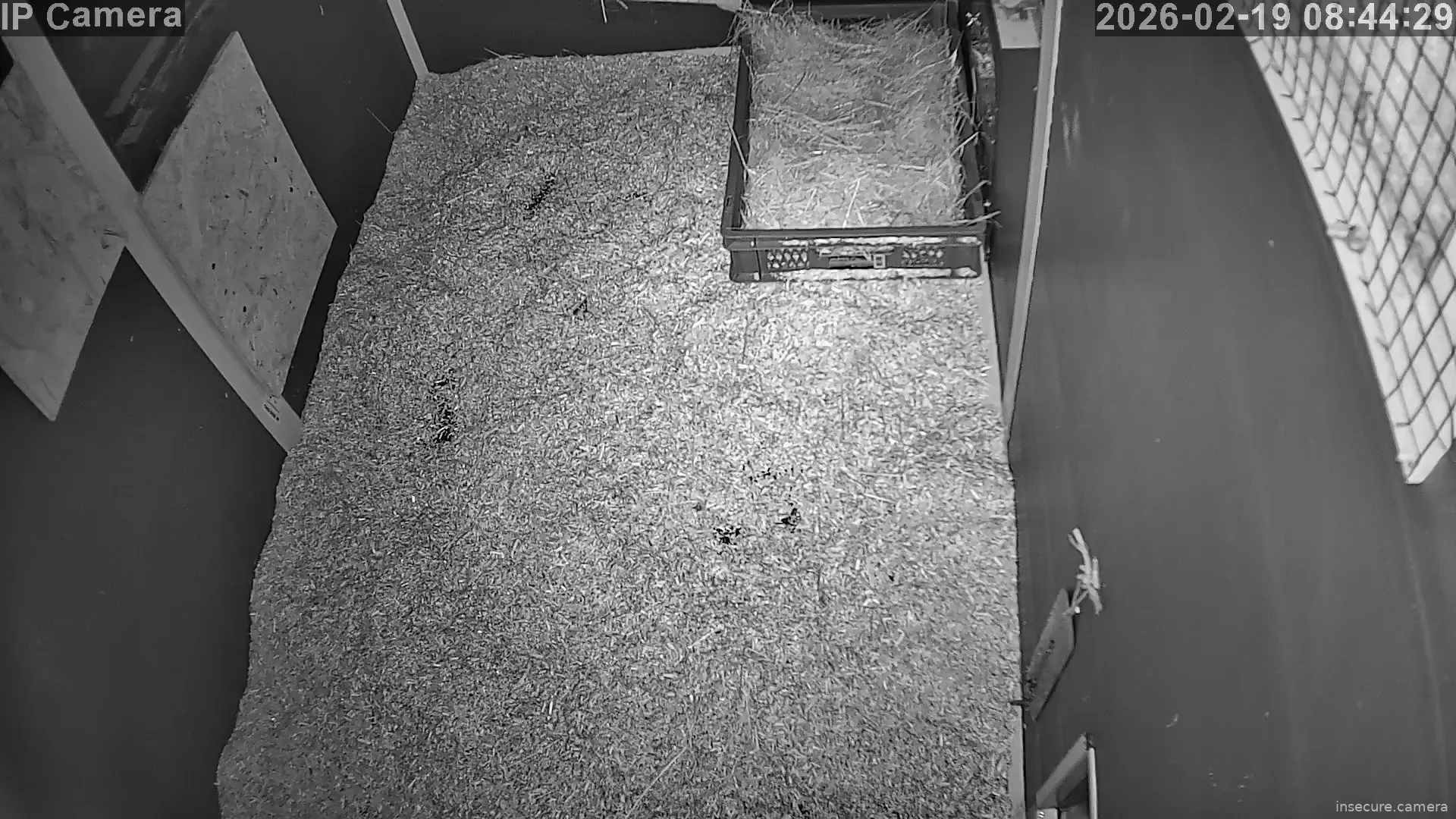 Capture from Feb 19, 2026 at 07:44 AM