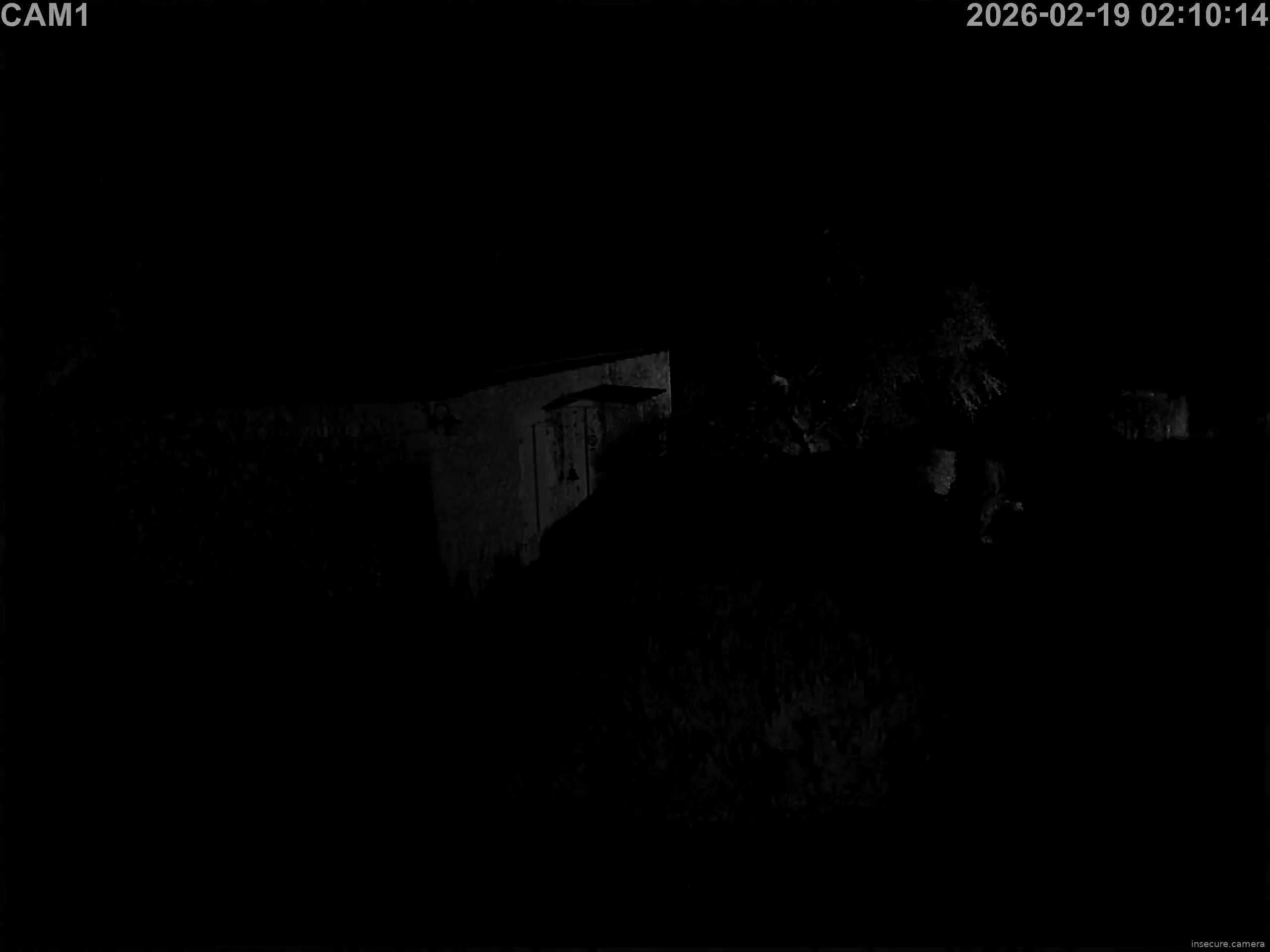 Capture from Feb 19, 2026 at 01:10 AM