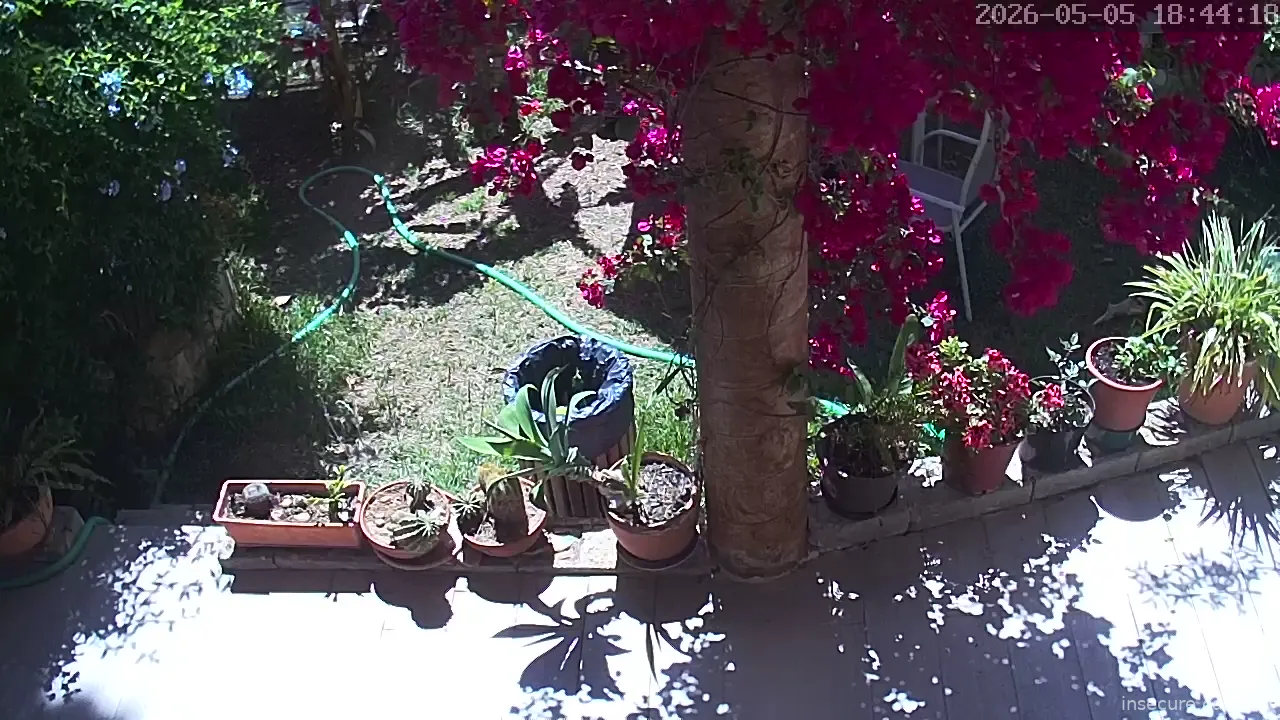 Capture from May 05, 2026 at 10:44 AM