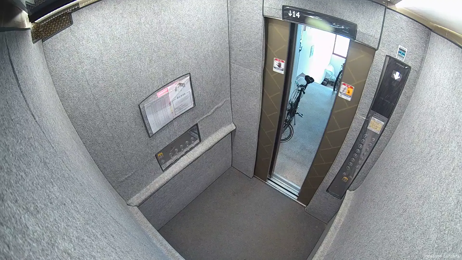 Camera in South Korea