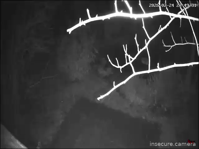 Capture from Feb 24, 2026 at 10:49 PM