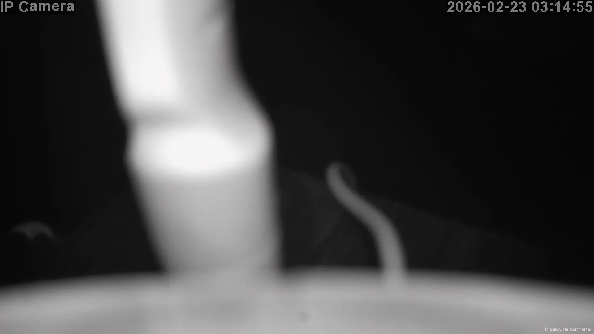 Capture from Feb 22, 2026 at 07:15 PM