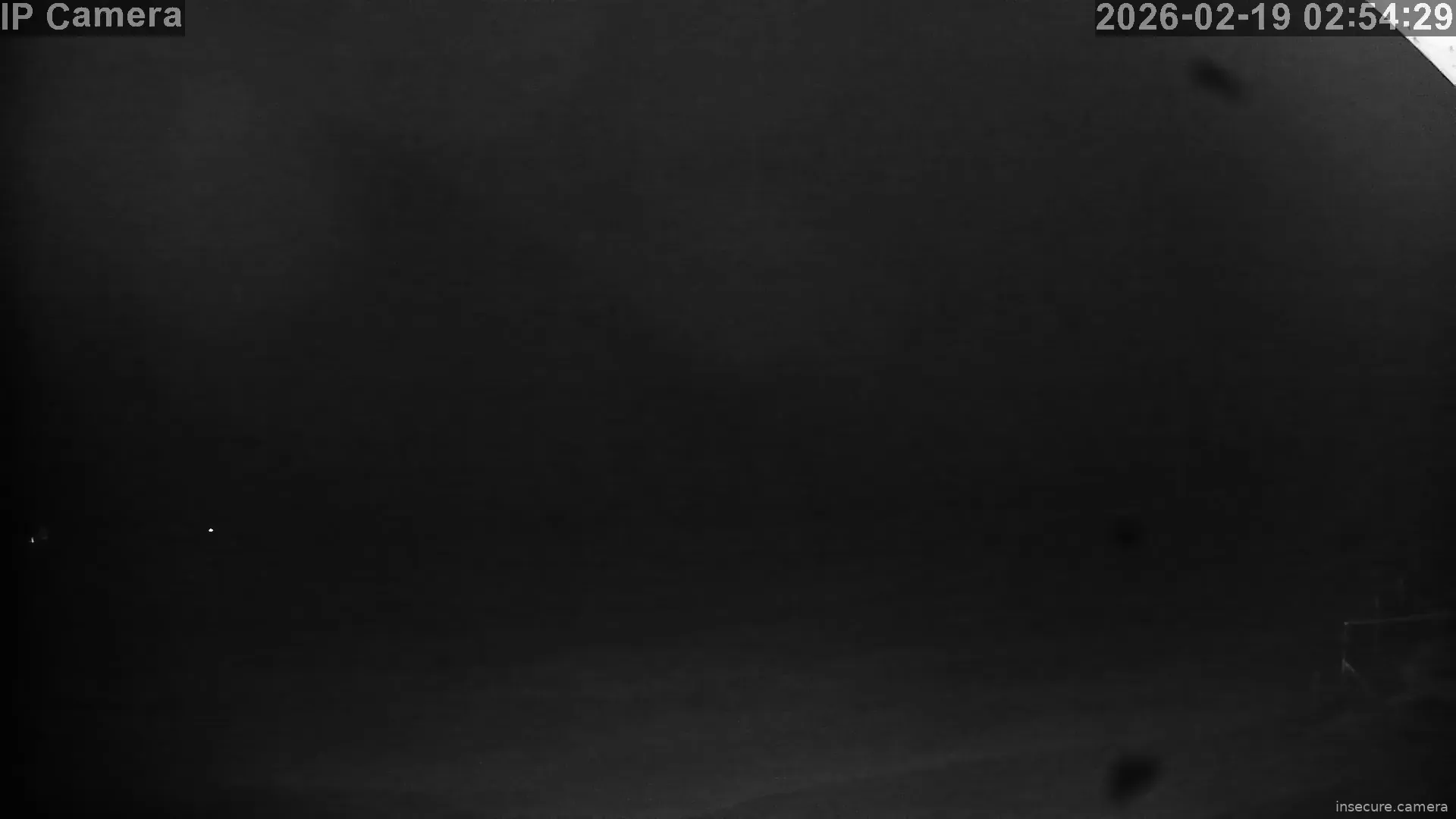 Capture from Feb 19, 2026 at 01:54 AM