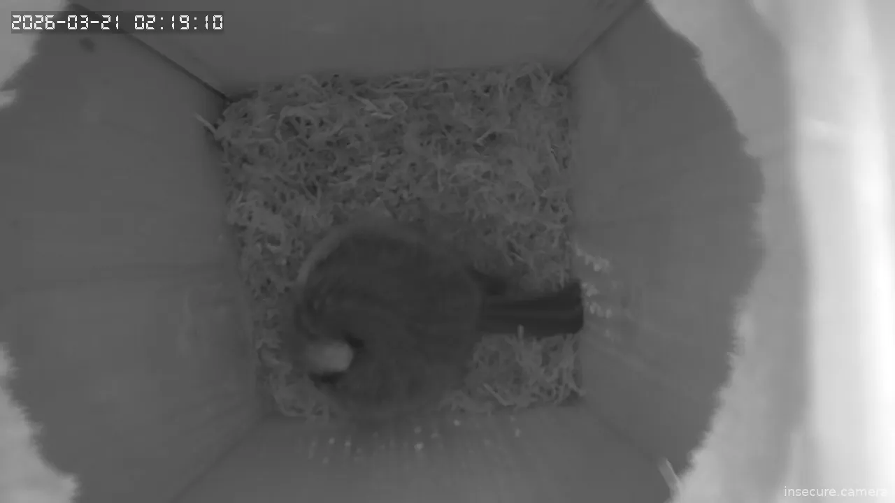 Capture from Mar 21, 2026 at 12:19 AM