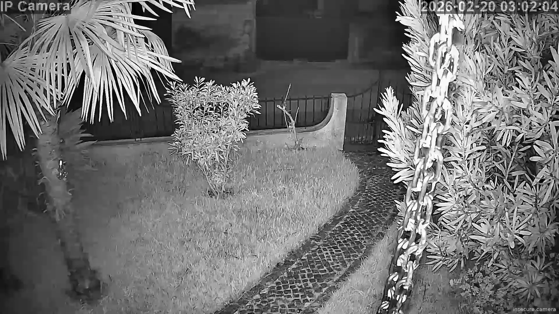 Capture from Feb 20, 2026 at 03:02 AM