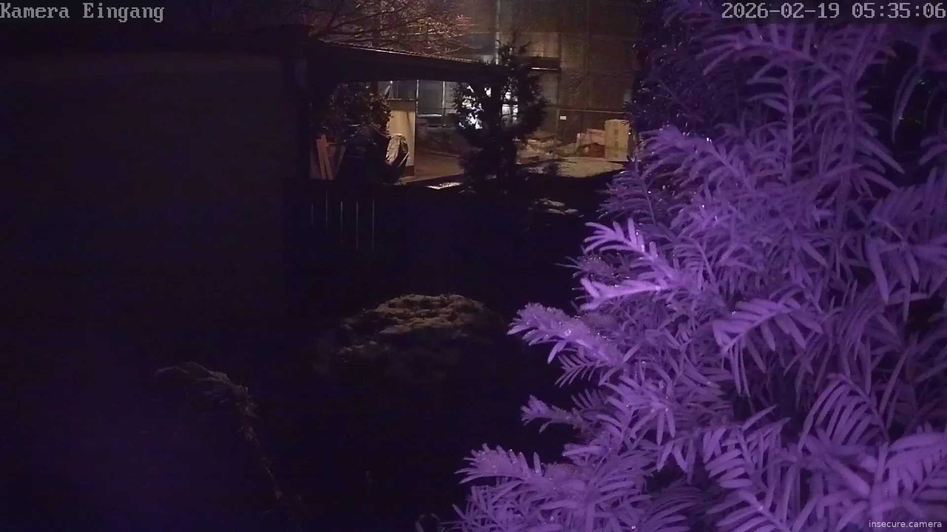 Capture from Feb 19, 2026 at 04:35 AM