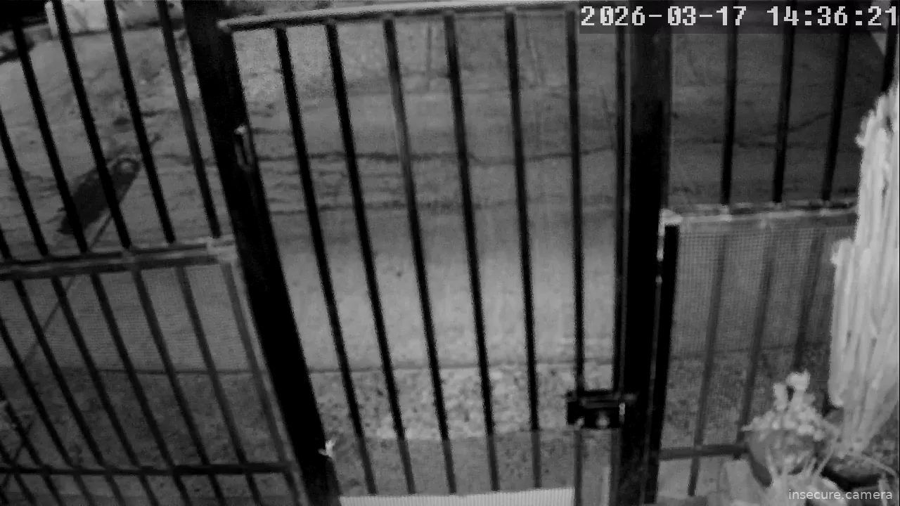 Capture from Mar 17, 2026 at 06:36 AM