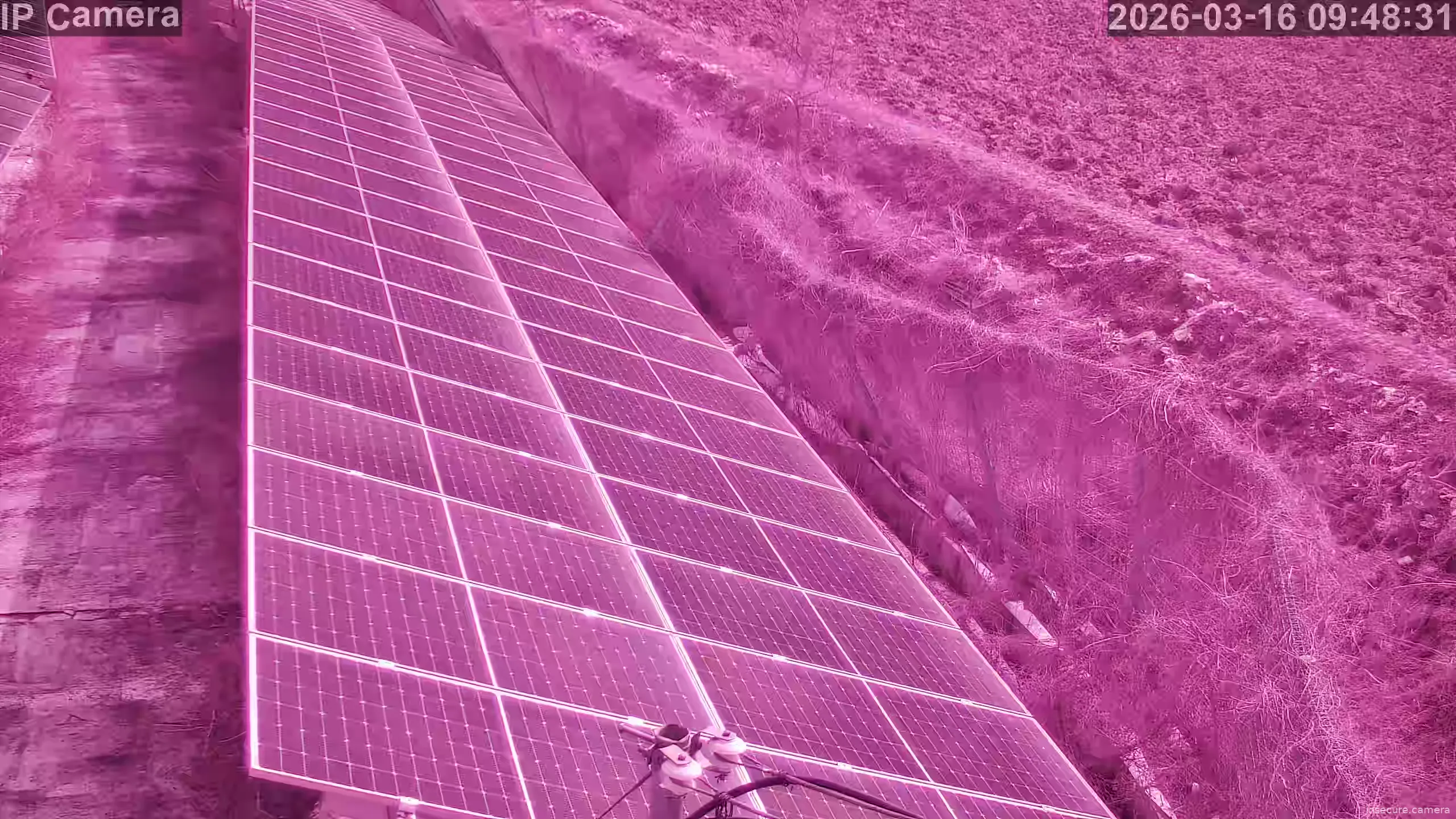 Capture from Mar 16, 2026 at 01:49 AM