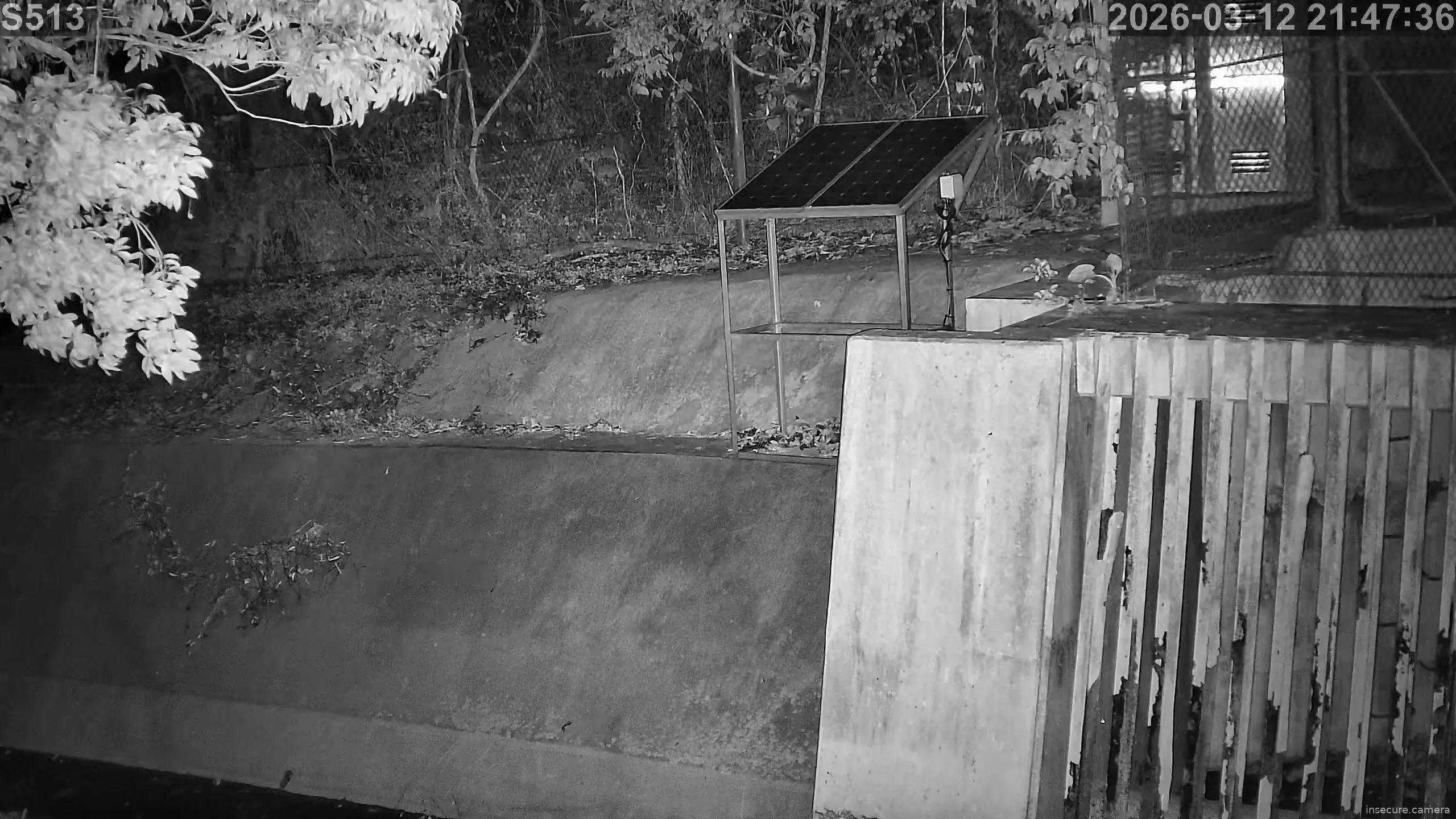 Camera in Hong Kong SAR China