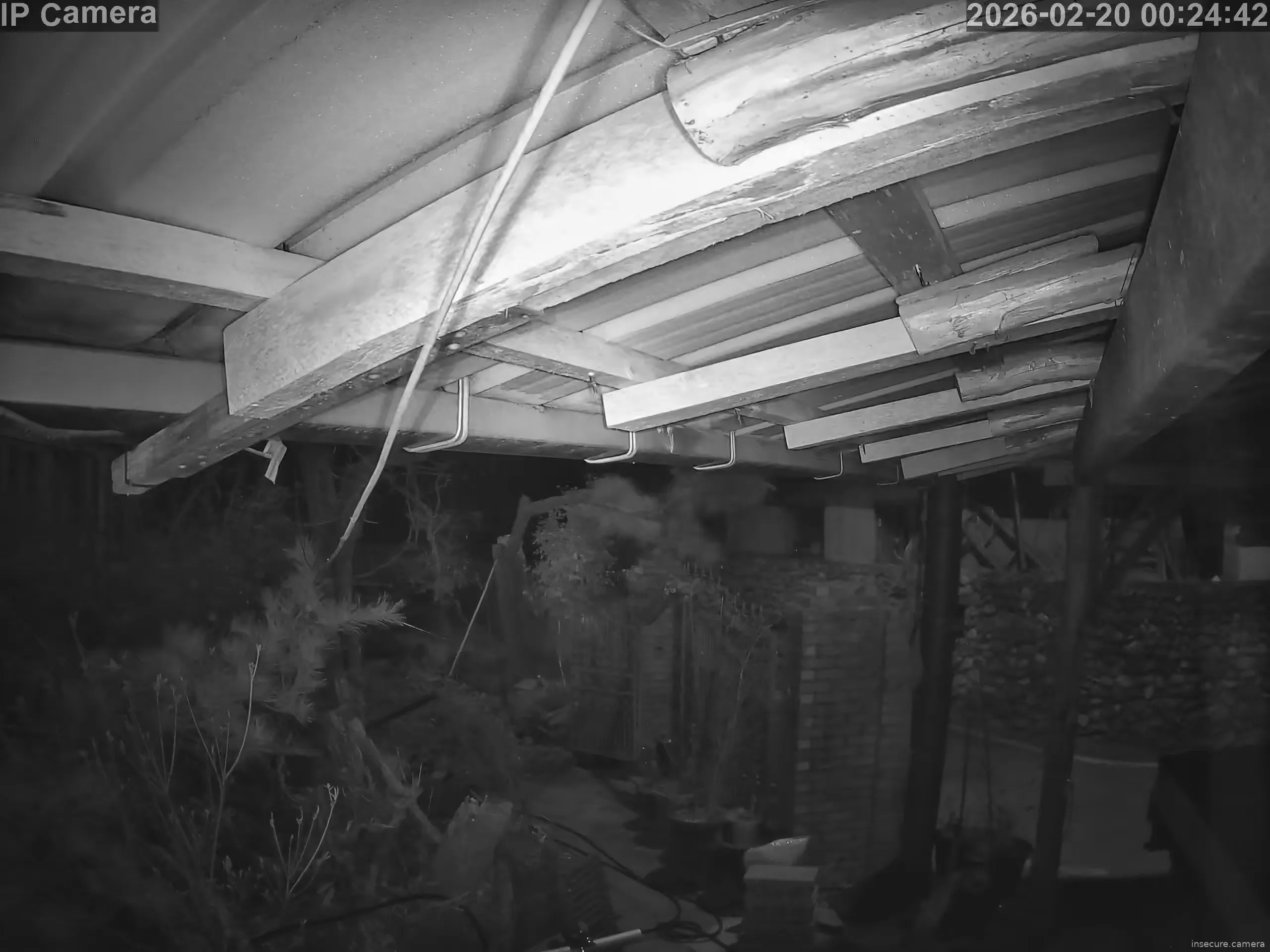 Capture from Feb 19, 2026 at 04:25 PM