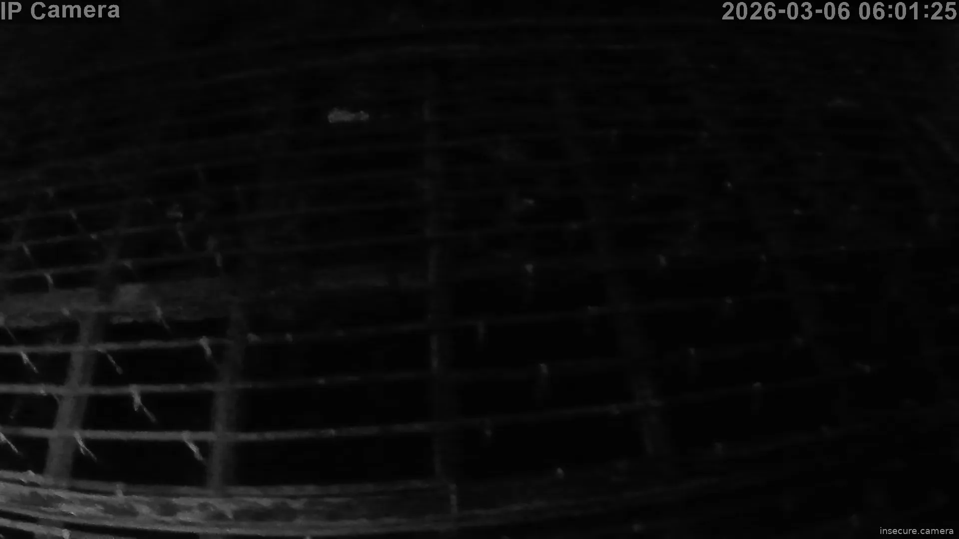 Capture from Mar 06, 2026 at 05:01 AM