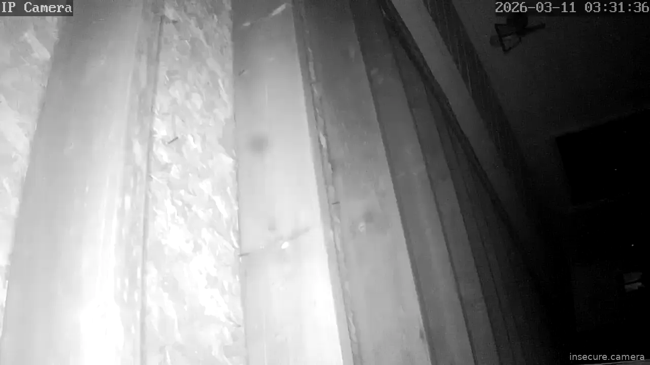 Capture from Mar 11, 2026 at 08:31 AM