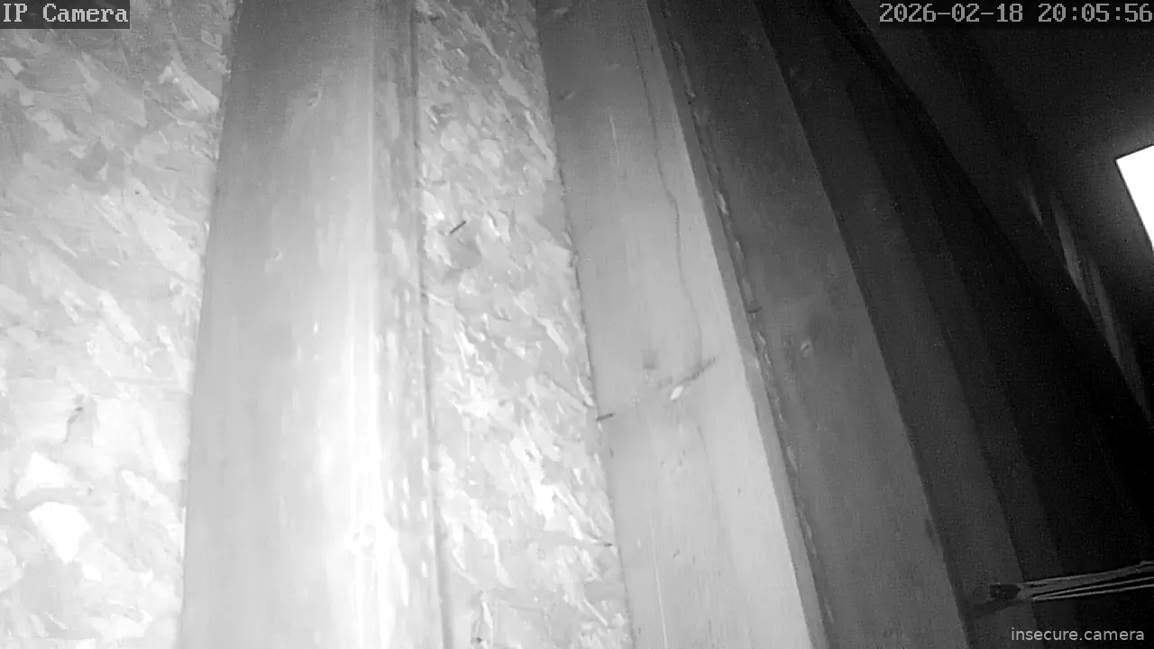 Capture from Feb 19, 2026 at 01:06 AM