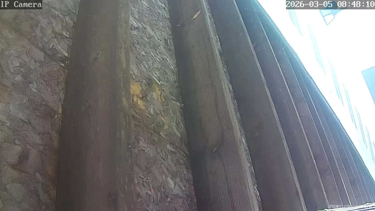 Capture from Mar 05, 2026 at 01:48 PM