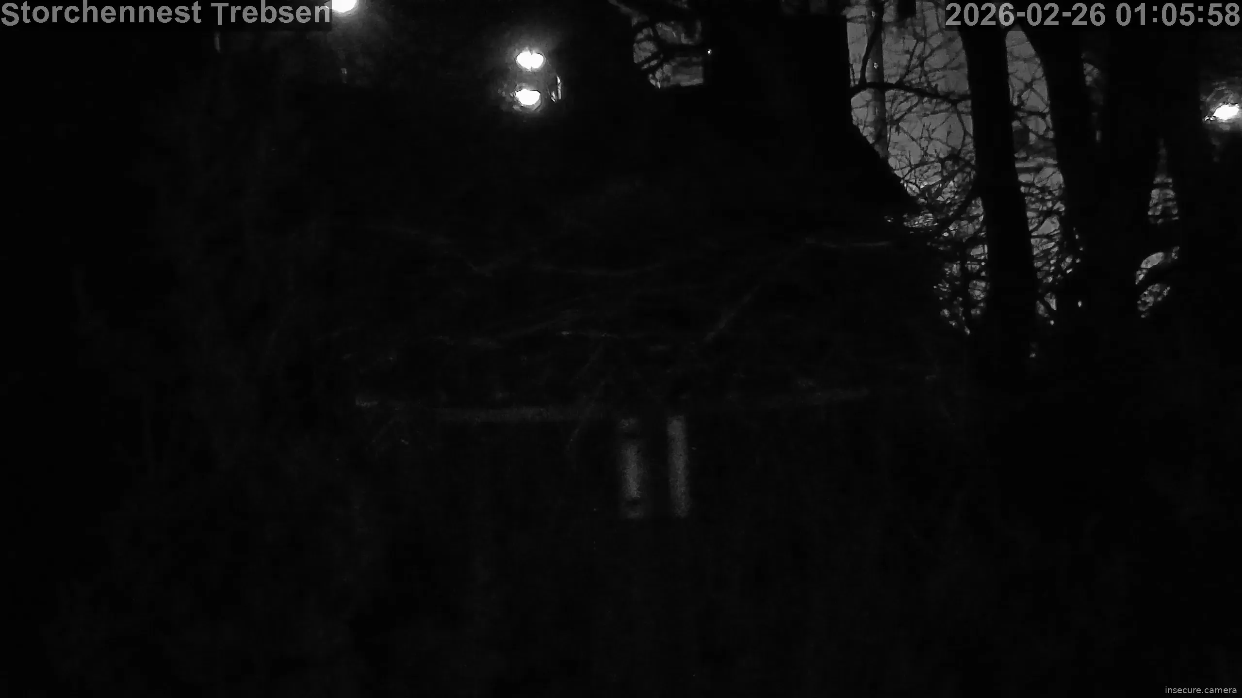 Capture from Feb 26, 2026 at 12:06 AM