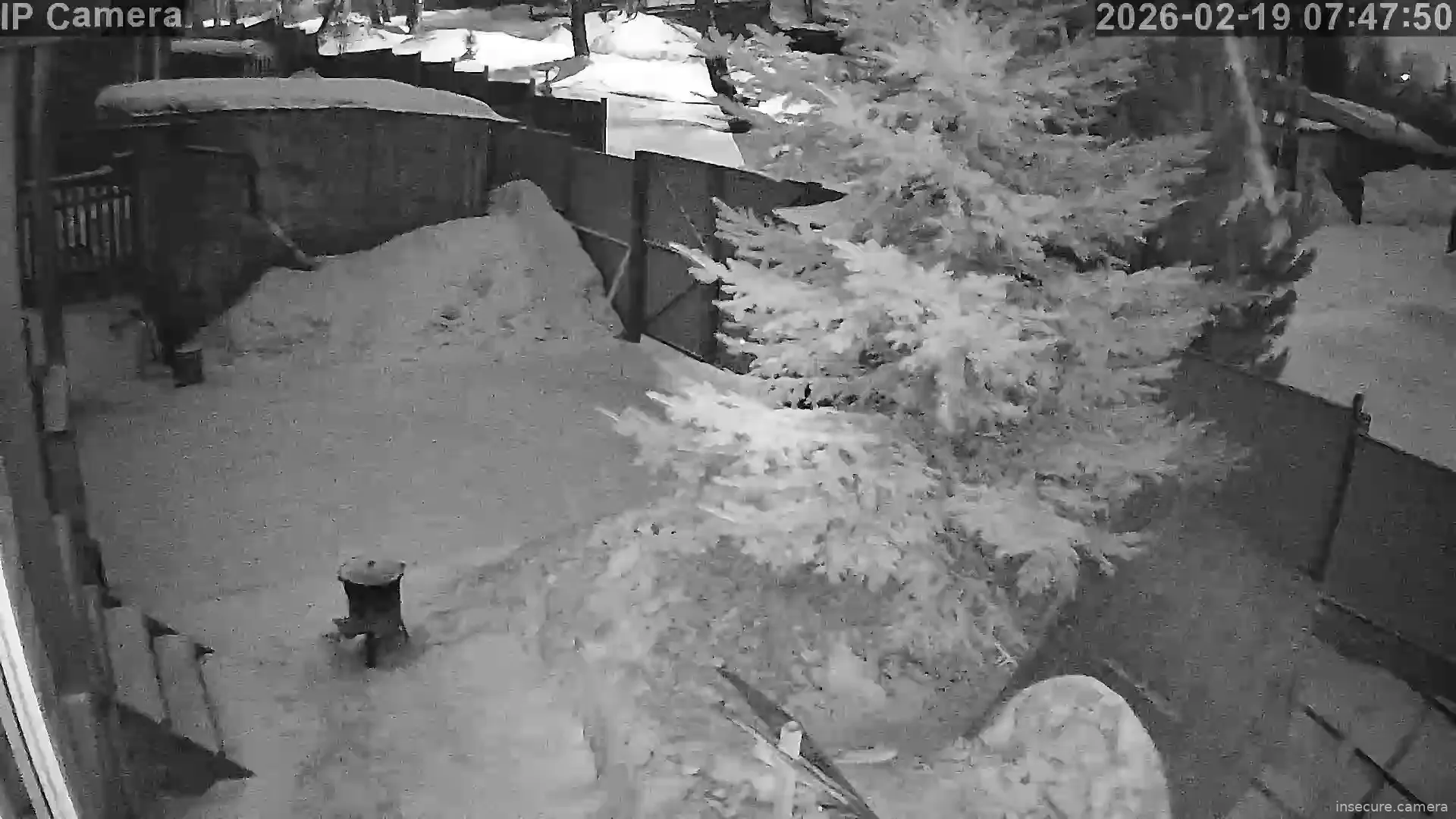 Capture from Feb 19, 2026 at 12:48 AM