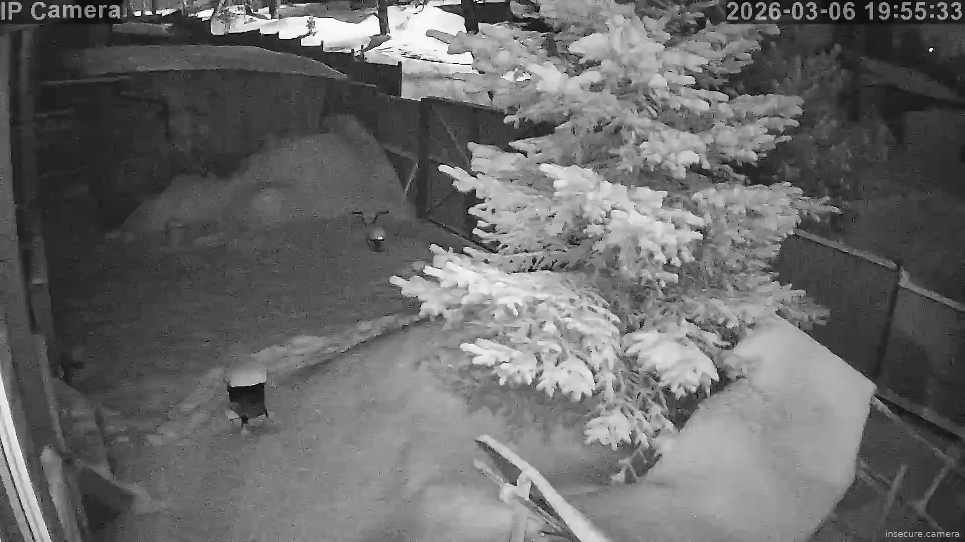 Capture from Mar 06, 2026 at 12:55 PM