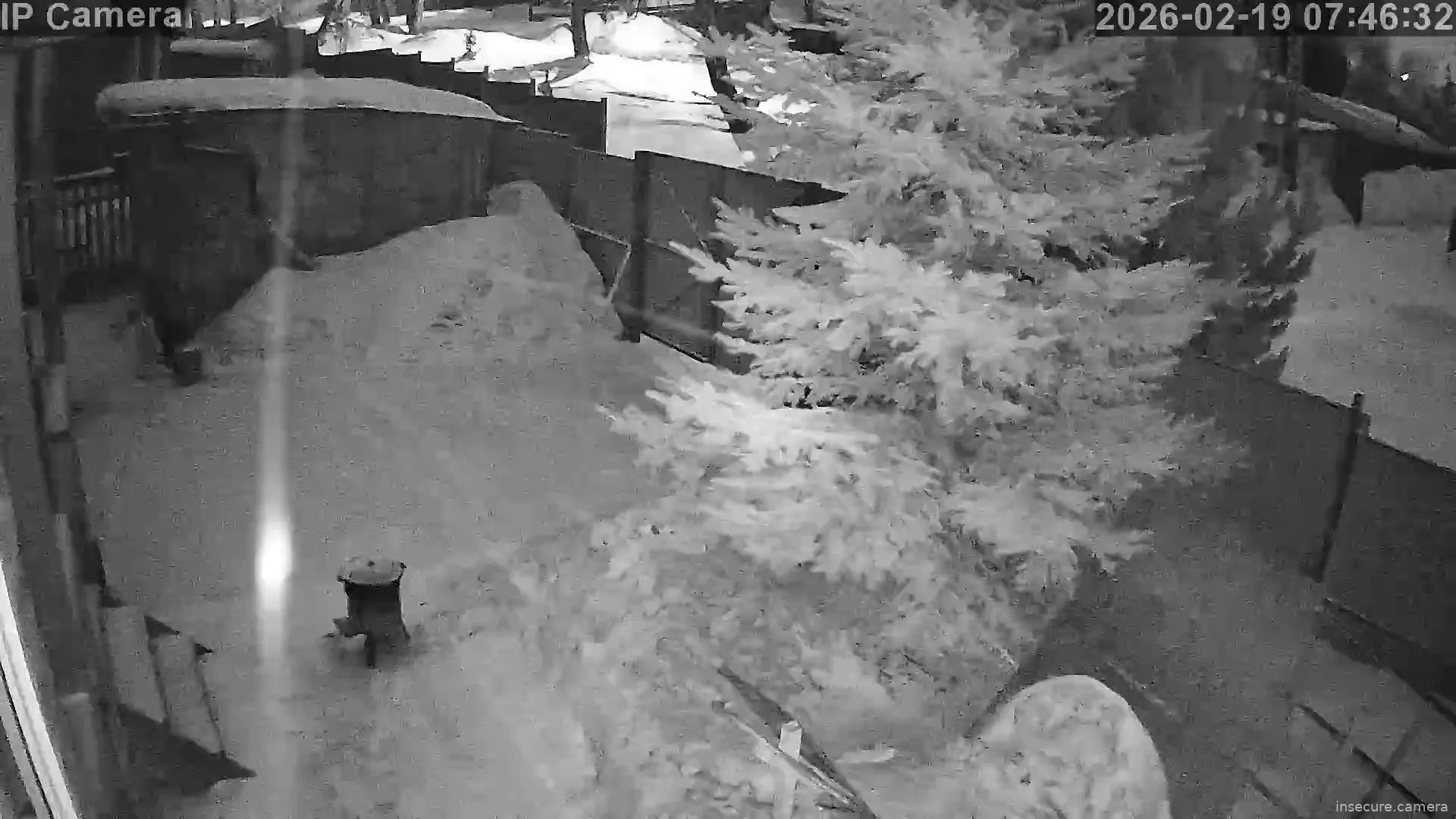 Capture from Feb 19, 2026 at 12:47 AM