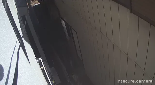 Capture from Feb 19, 2026 at 12:56 AM