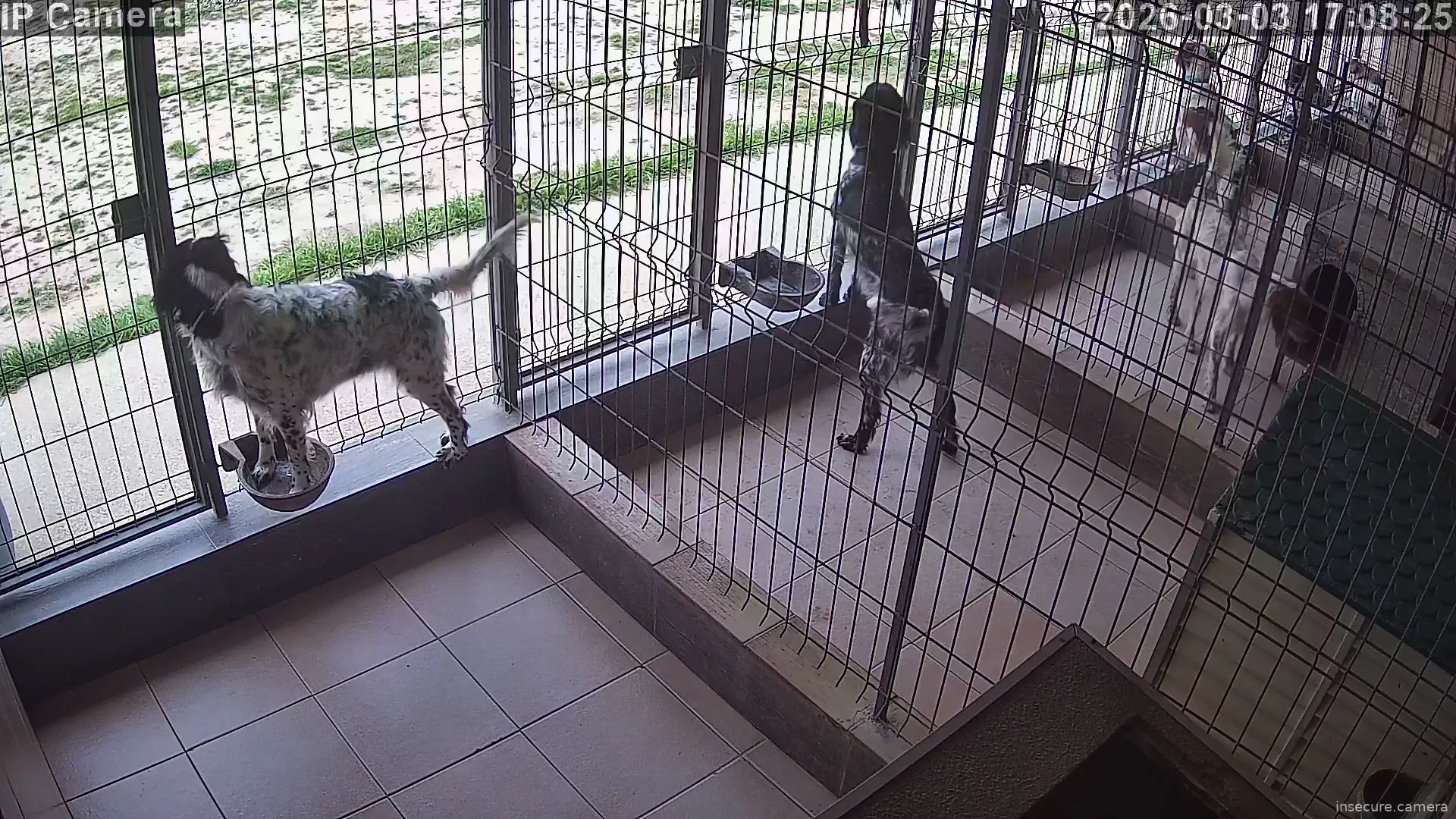 Capture from Mar 03, 2026 at 04:08 PM