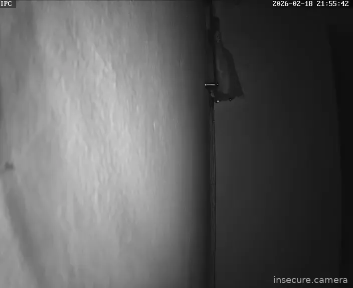 Capture from Feb 19, 2026 at 12:55 AM