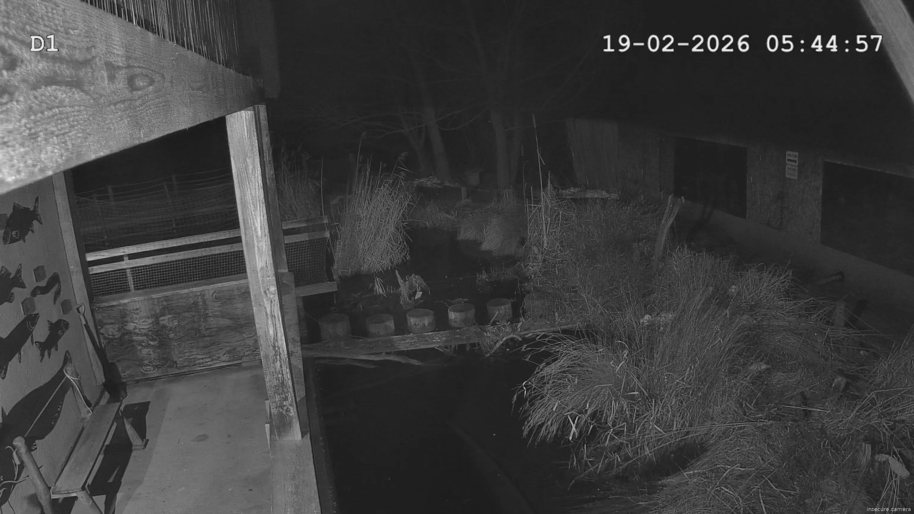 Capture from Feb 19, 2026 at 04:43 AM