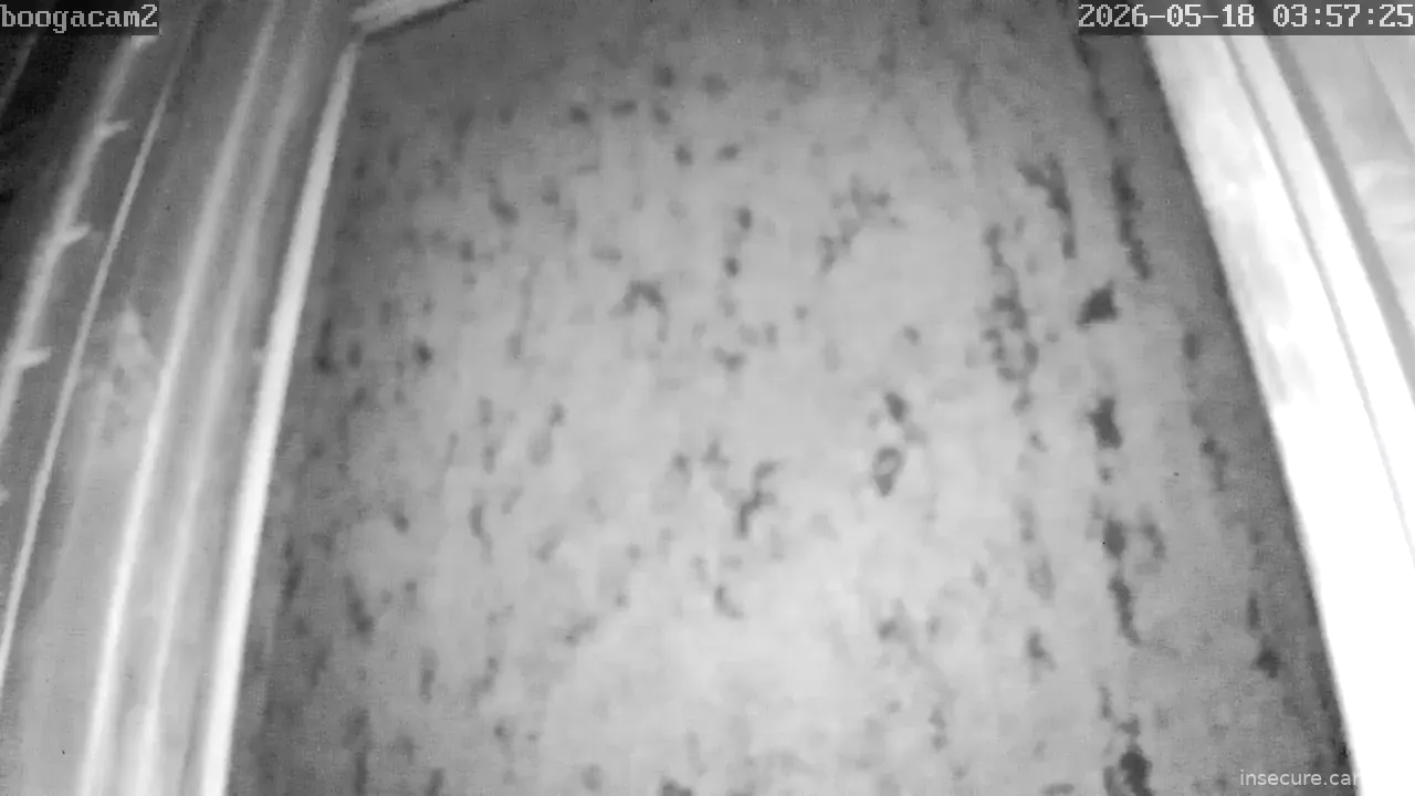 Capture from May 18, 2026 at 08:57 AM