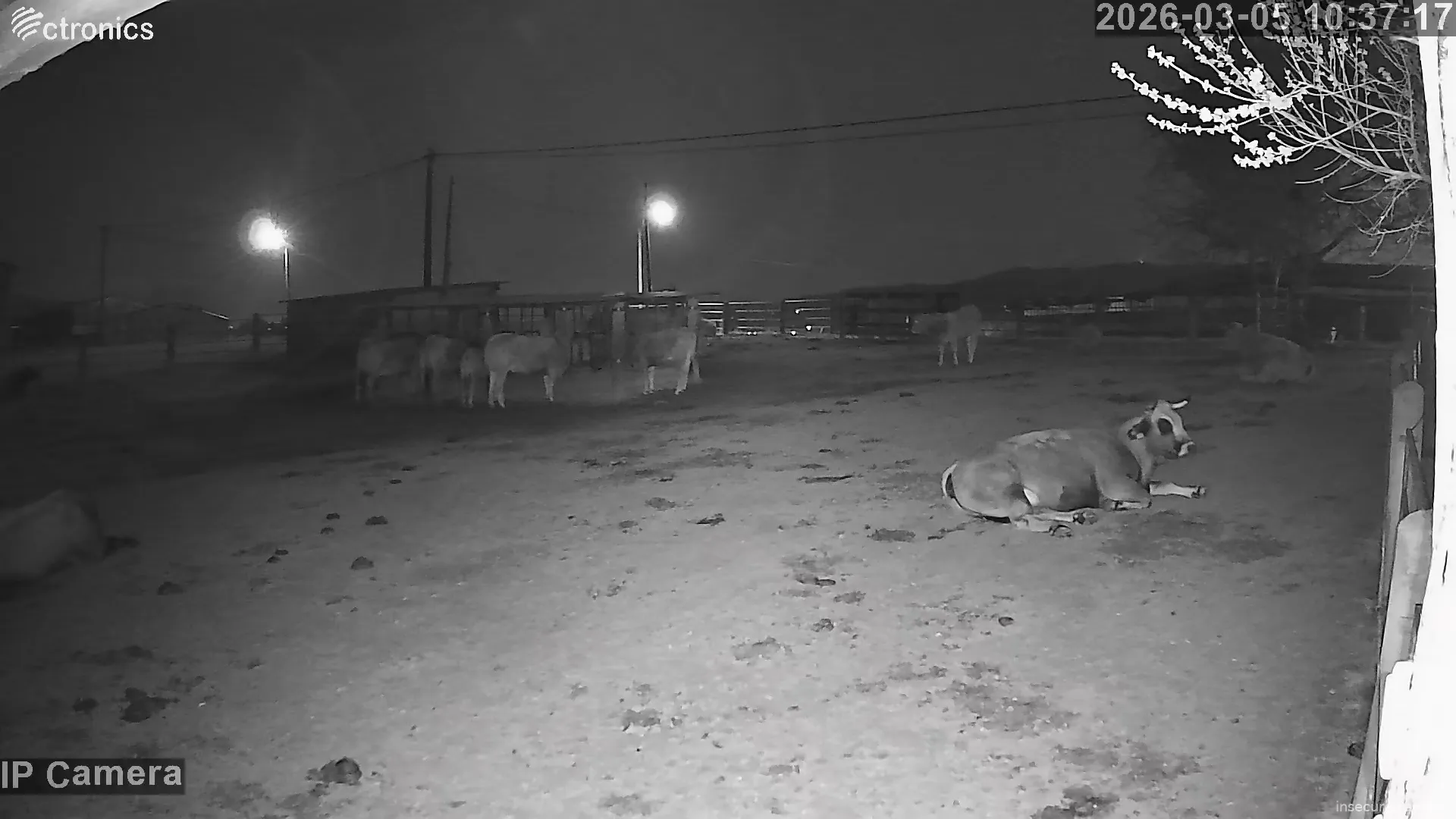 Capture from Mar 05, 2026 at 02:37 AM