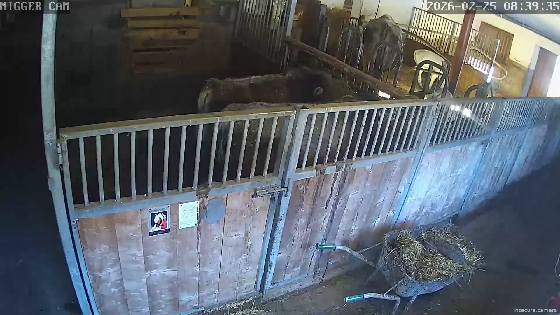 Capture from Feb 25, 2026 at 07:39 AM