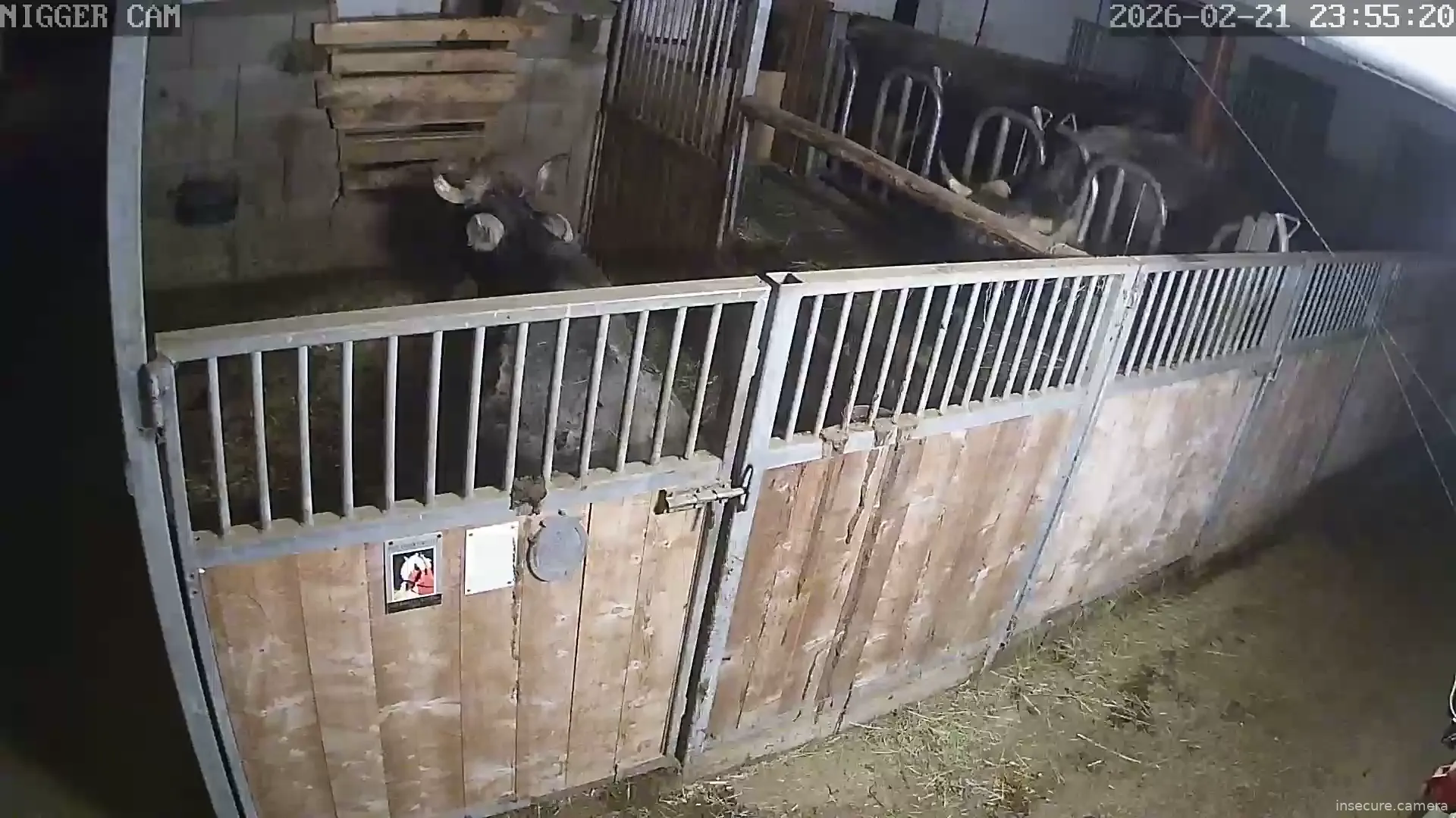 Capture from Feb 21, 2026 at 10:55 PM