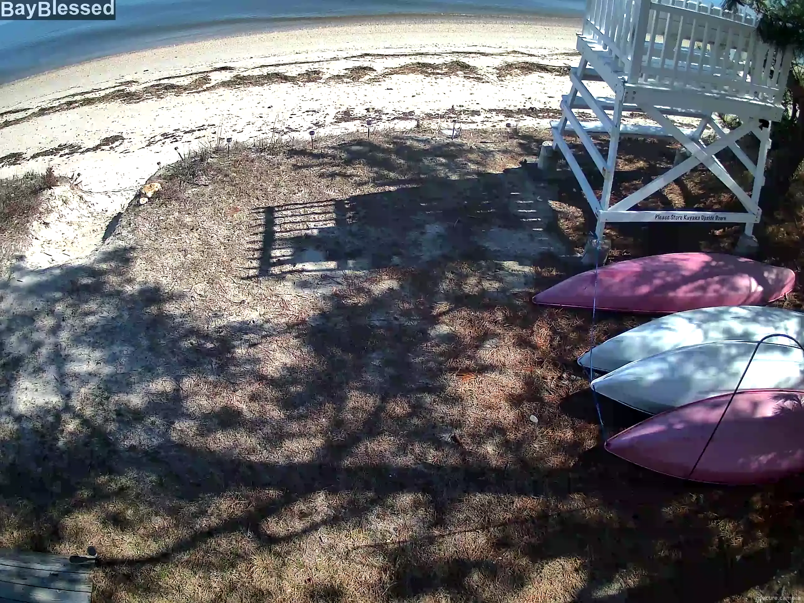 Capture from Mar 09, 2026 at 03:15 PM